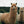 Load image into Gallery viewer, Andean Alpaca Wool Blanket