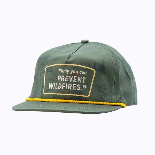 Only You Can Prevent Wildfires Cap