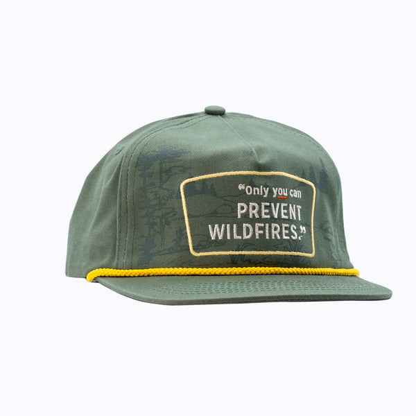 Only You Can Prevent Wildfires Cap